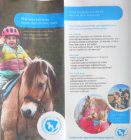 Mut wächst leise - Ponys zeigen dir deine Stärke!