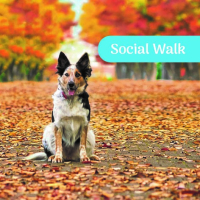 Gemeinsam unterwegs – Raum für Begegnung, Austausch und neue Perspektiven